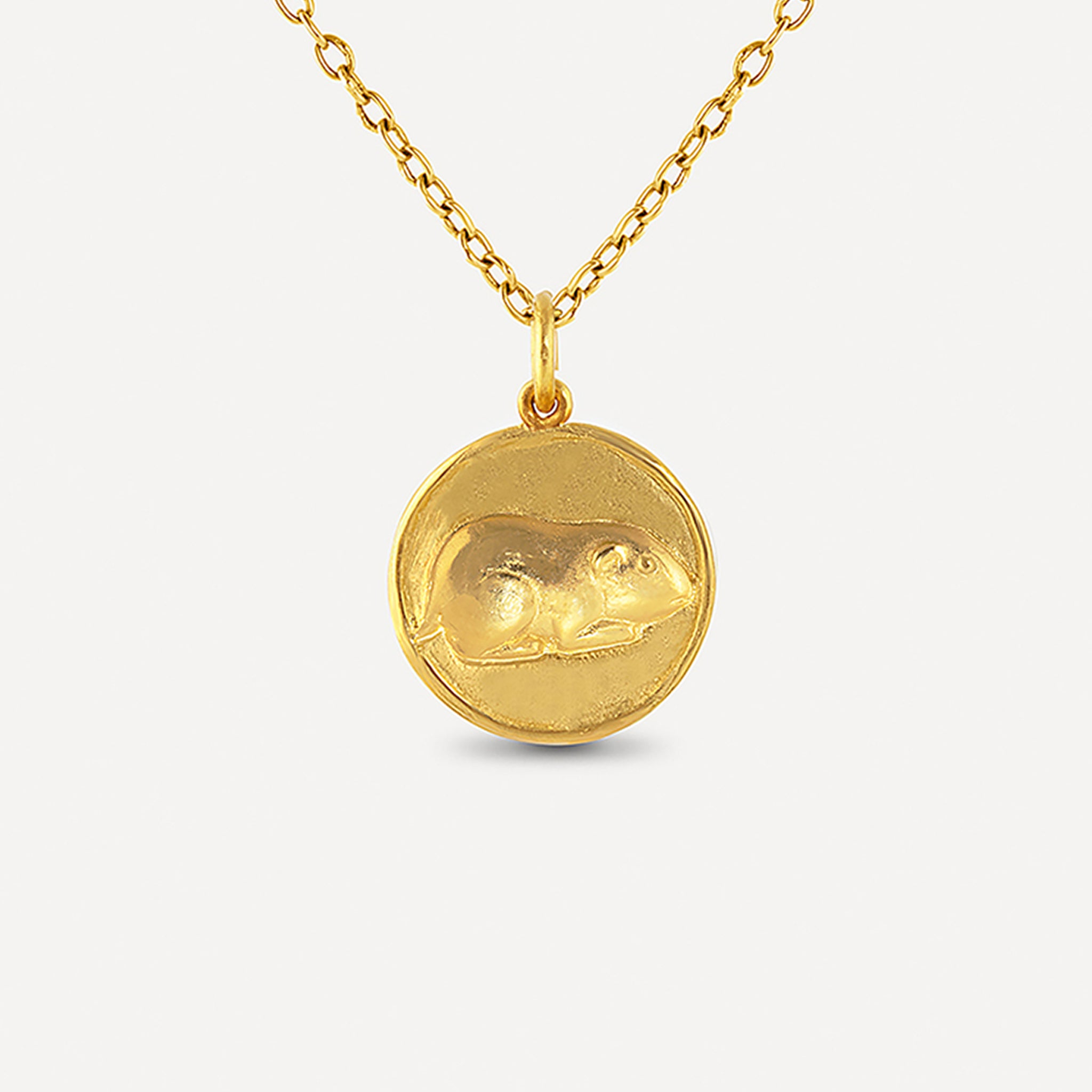 Guinea Pig Pendant (Friday)