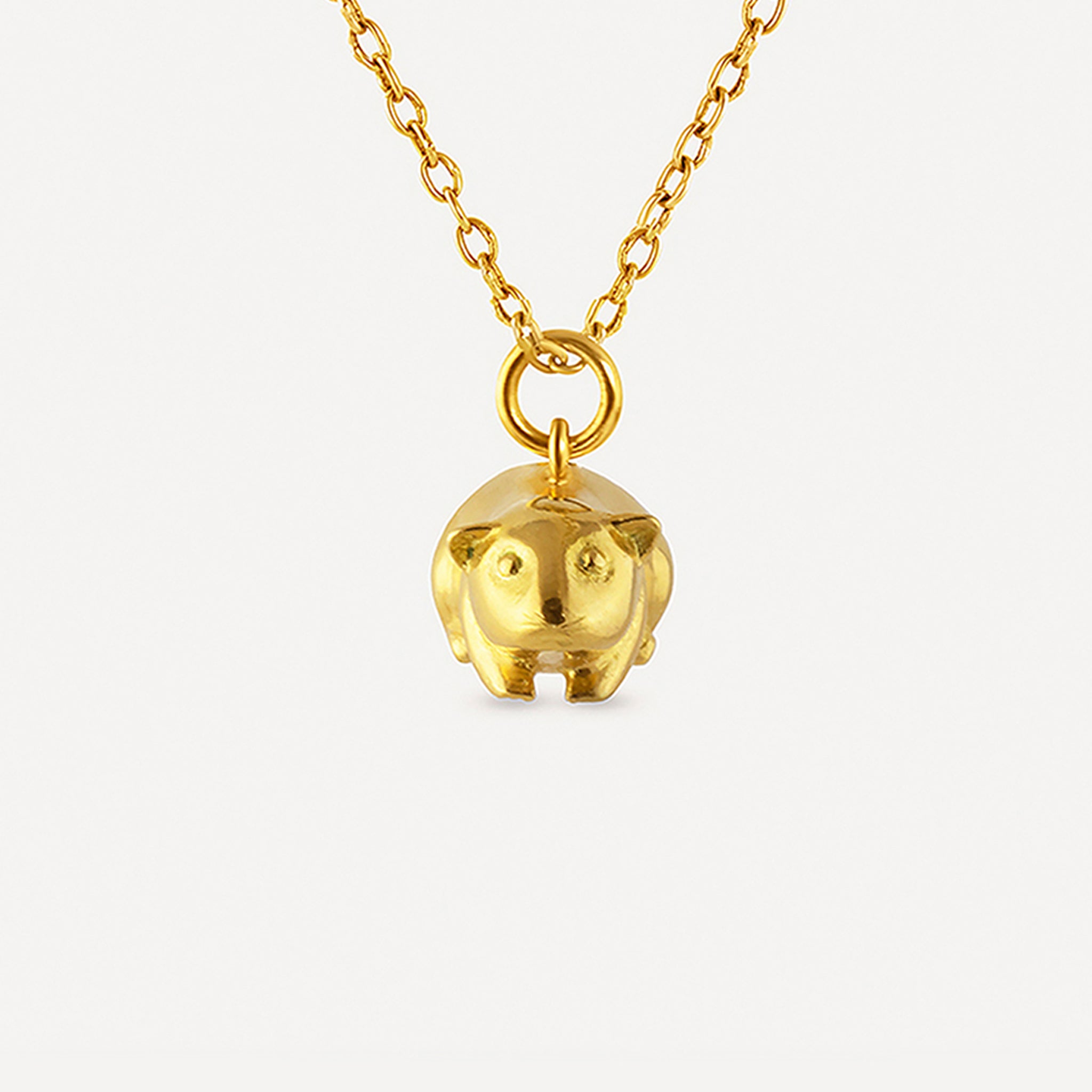 Guinea Pig Charm (Friday)
